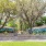 Locally Painted Mural