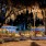 beautiful shot of grilling area, lit up at night under huge tree